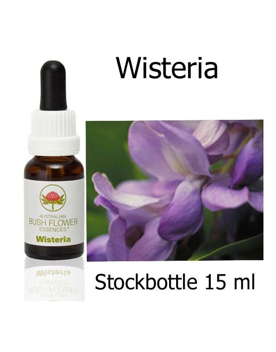 Wisteria Australian Bush Flower Essences stockbottles