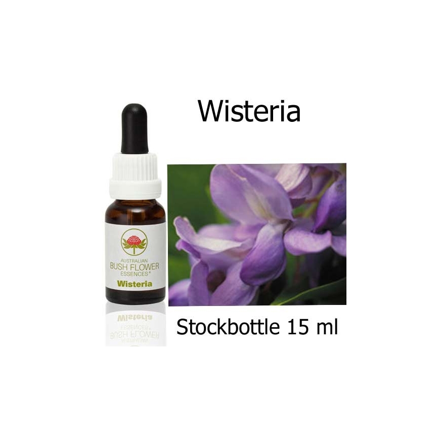 Wisteria Australian Bush Flower Essences stockbottles