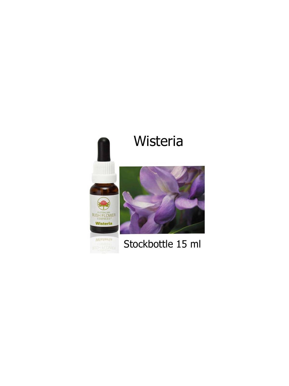 wisteria australian bush flower essences buschblüten stockbottles