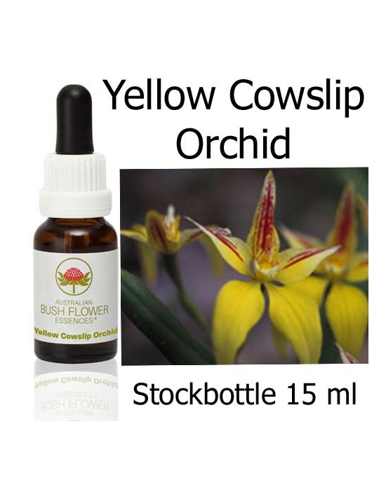 Australische Buschblüten Yellow Cowslip Orchid Australian Bush Flower Essences Stockbottles
