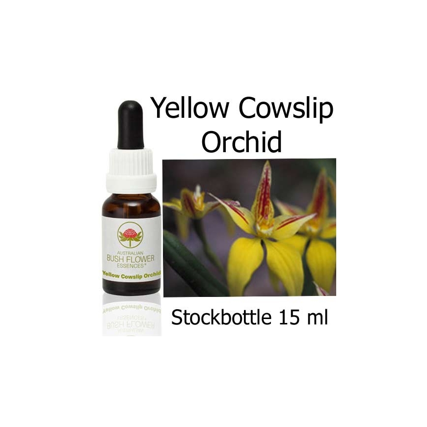 Australische Buschblüten Yellow Cowslip Orchid Australian Bush Flower Essences Stockbottles