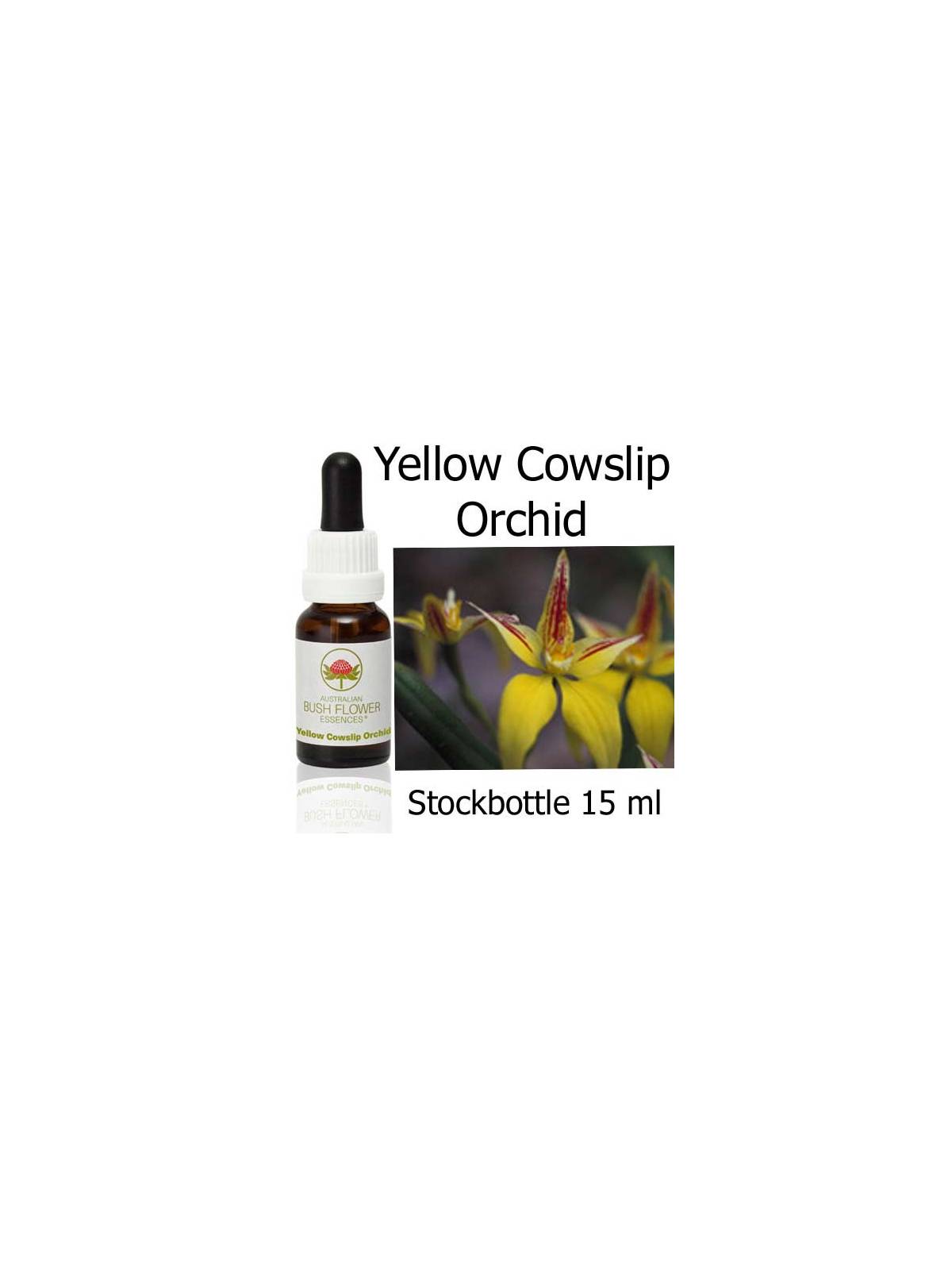 Australian Bush Flower Essences Yellow Cowslip Orchid stockbottles