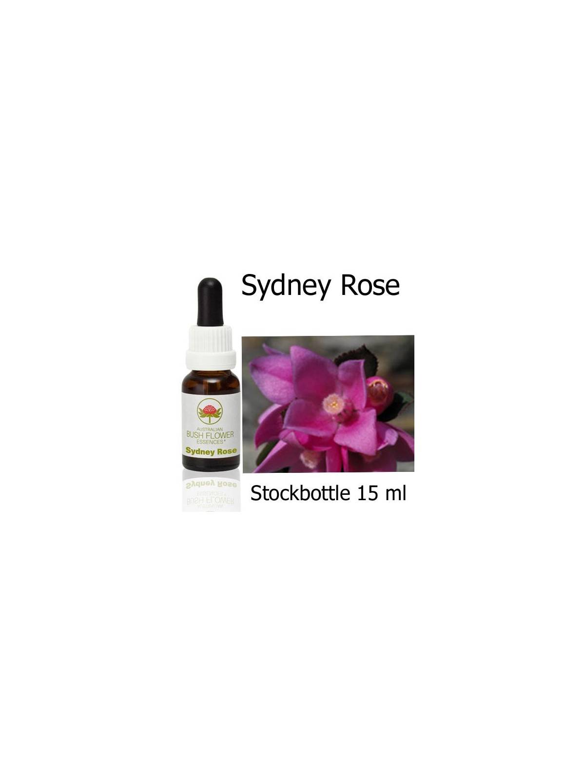 Australische Buschblüten Sydney Rose Australian Bush Flower Essences tockbottles