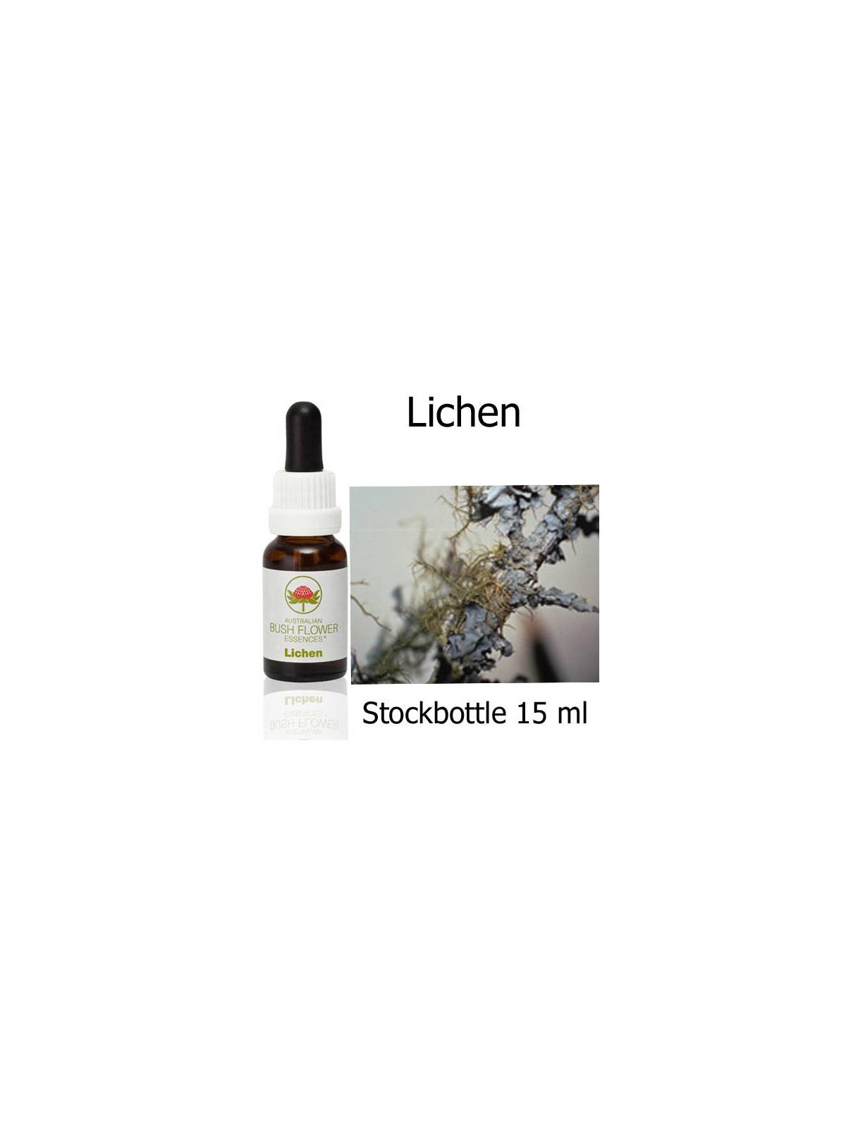 Lichen Australian Bush Flower Essences