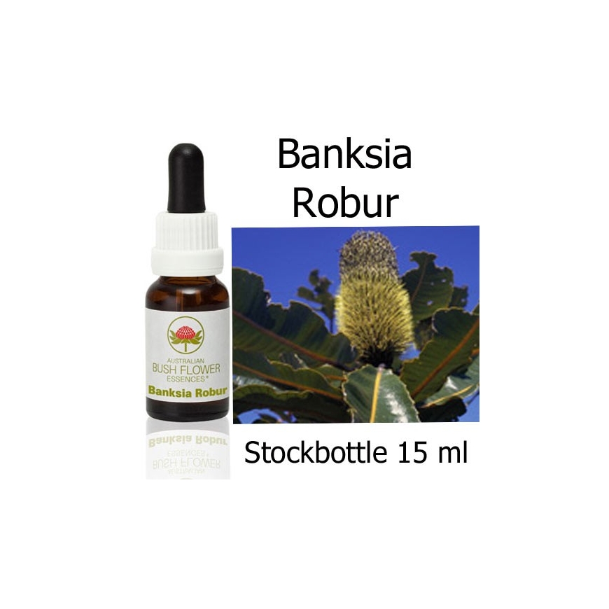 Australian Bush Flower Essences Fiori Australiani Banksia Robur Stockbottles