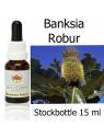 Buschblüten Banksia Robur Stockbottles Australian Bush Flower Essences