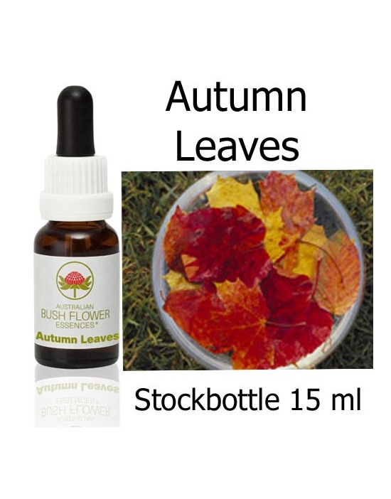 Autumn Leaves Australische Buschblüten Stockbottles Australian Bush Flower Essences
