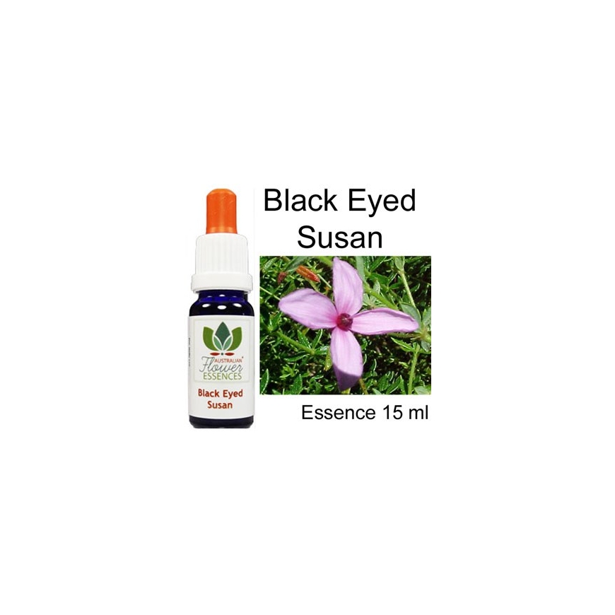Black Eyed Susan Australian Flower Essences Love Remedies