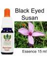 Black Eyed Susan  Australische Blütenessenzen Australian Flower Essences