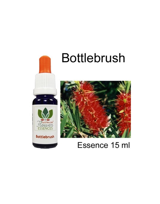 Bottlebrush Australische Blütenessenzen Australian Flower Essences