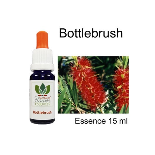 Bottlebrush Australian Flower Essences 15 ml