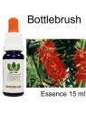 Bottlebrush 15 ml Australian Flower Essences Fiori Australiani
