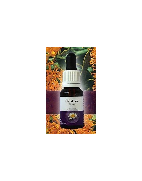Christmas Tree Living Essences Stockbottle 15 ml Fiori Australiani