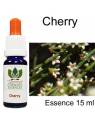 Cherry Australian Flower Essences 15 ml