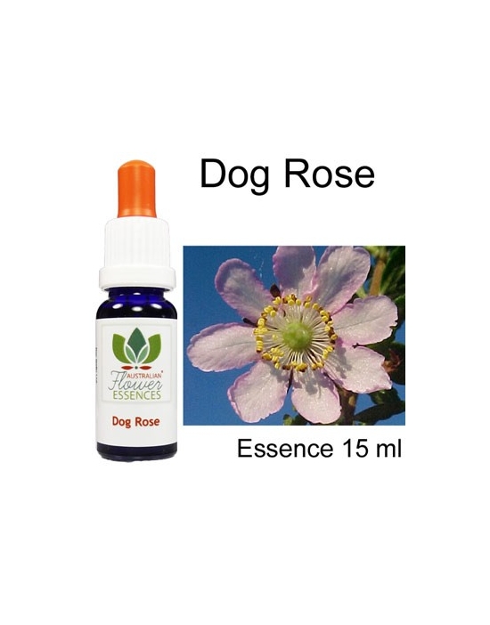 DOG ROSE Australian Flower Essences fiori australiani