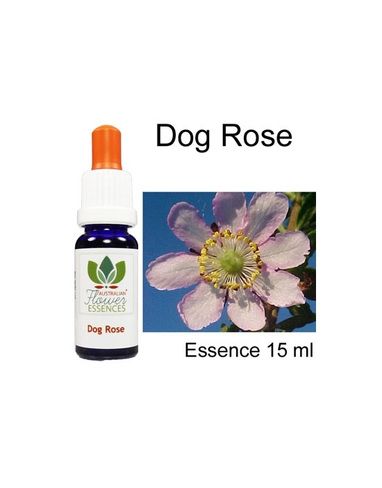 DOG ROSE Buschblüten 15 ml Australian Flower Essences