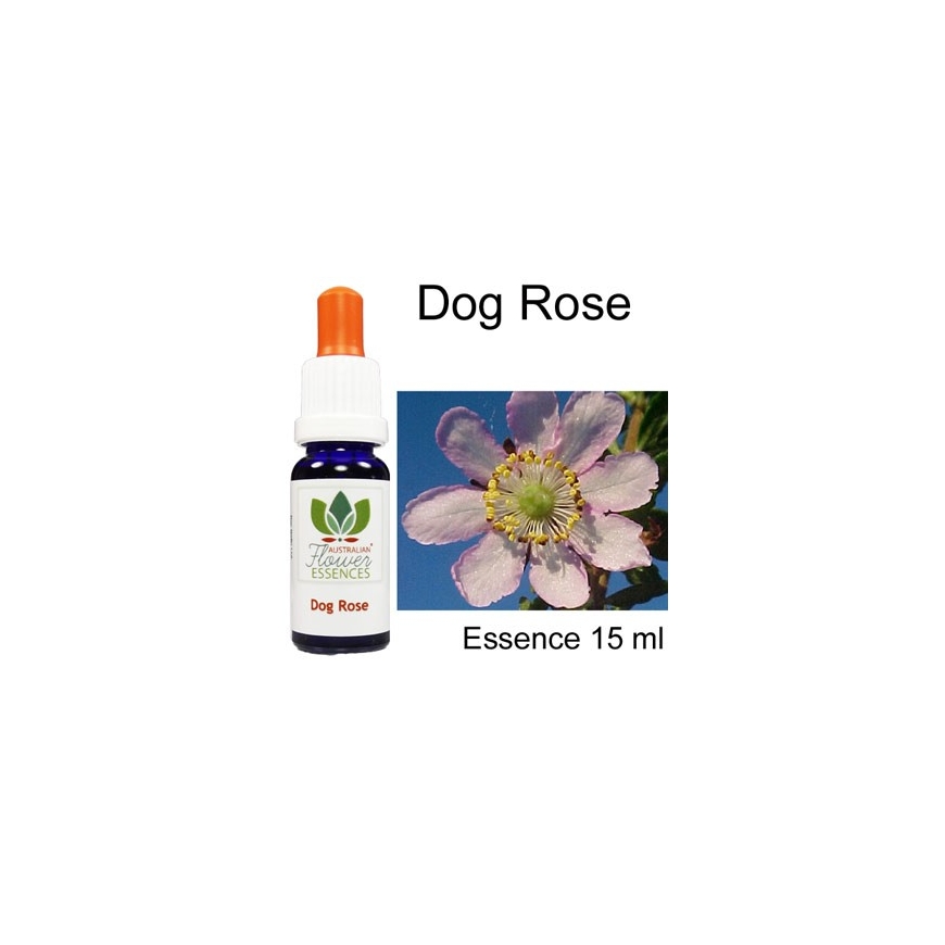 DOG ROSE Australian Flower Essences 15 ml