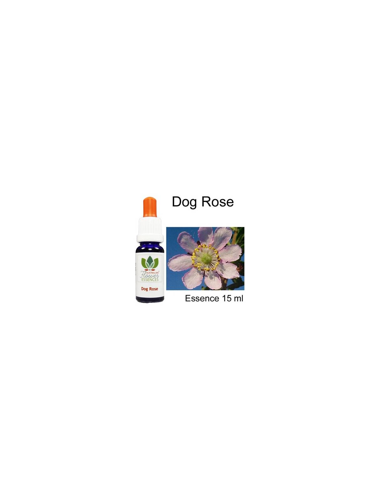 DOG ROSE Buschblüten 15 ml Australian Flower Essences