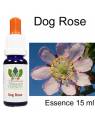 DOG ROSE Buschblüten 15 ml Australian Flower Essences