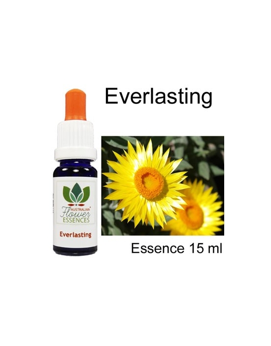 EVERLASTING Buschblüten 15 ml Australian Flower Essences