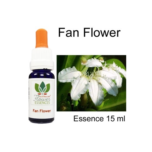 Fan Flower Australian Flower Essences Love Remedies
