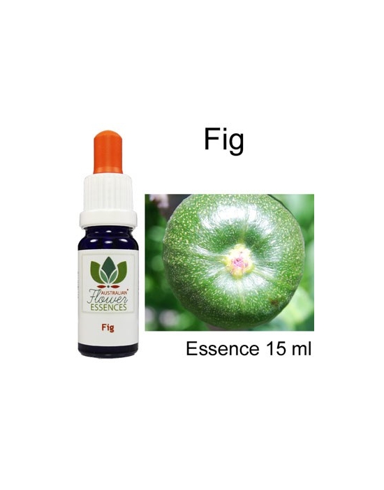 FIG Buschblüten 15 ml Australian Flower Essences