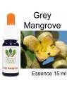 GREY MANGROVE Buschblüten Australian Flower Essences 15 ml
