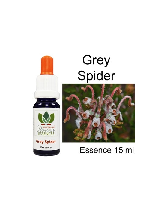 GREY SPIDER Australian Flower Essences Love Remedies