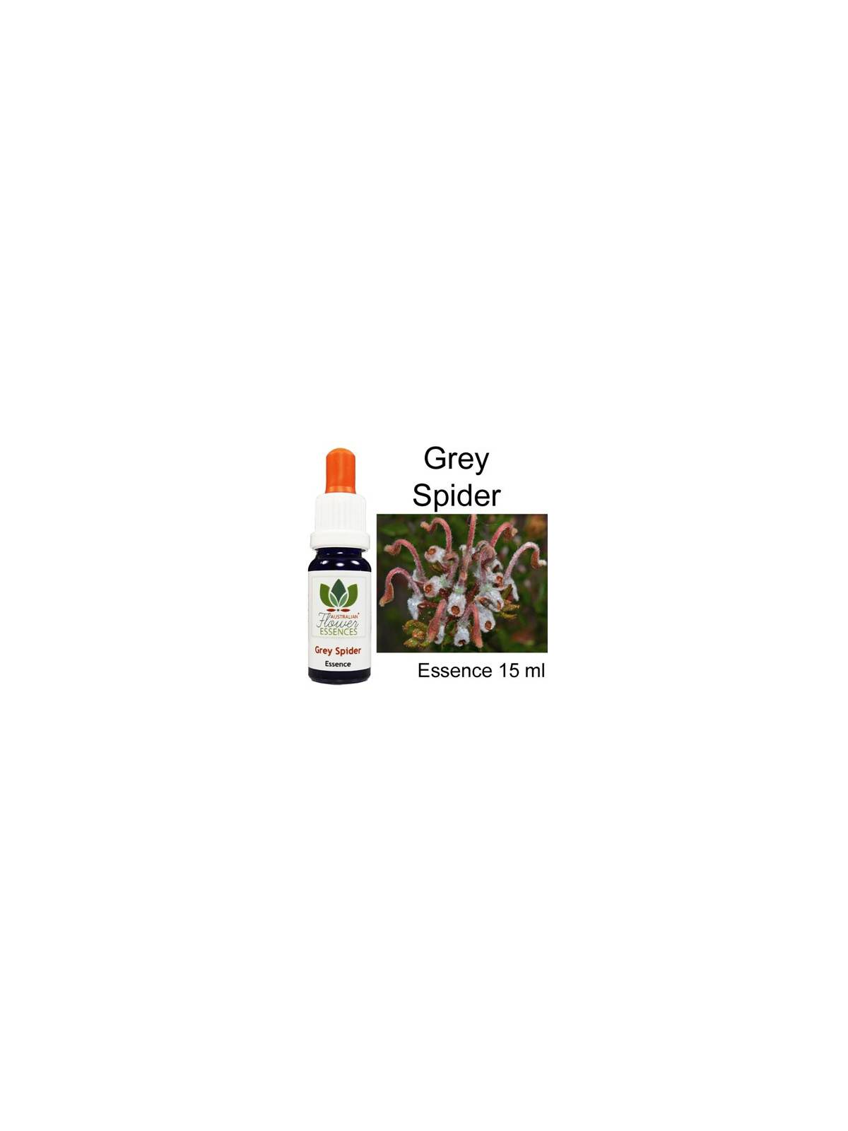 GREY SPIDER Australian Flower Essences 15 ml