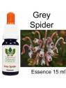 GREY SPIDER Australian Flower Essences Fiori Australiani 15 ml