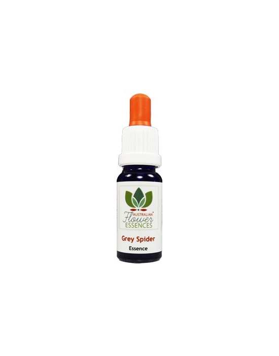 GREY SPIDER Australian Flower Essences bottle