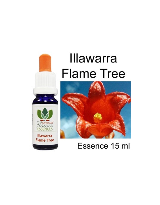 ILLAWARRA FLAME TREE  Australische Blütenessenzen Love Remedies