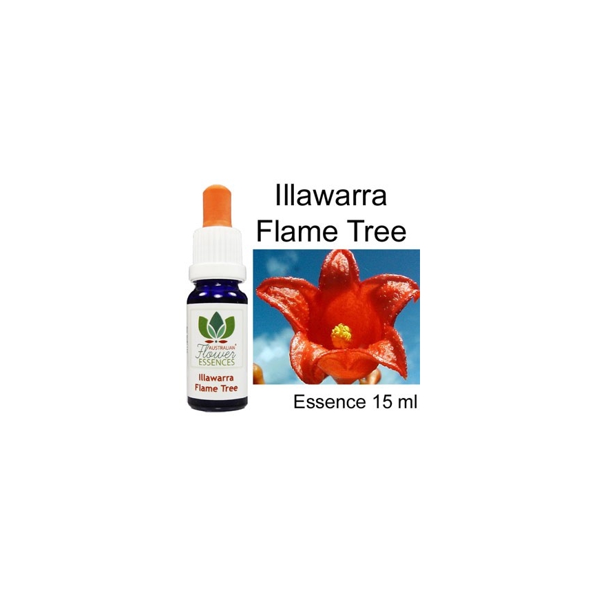 ILLAWARRA FLAME TREE 15 ml Australian  Flower Essences fiori australiani