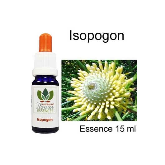 ISOPOGON Australian Flower Essences Love Remedies