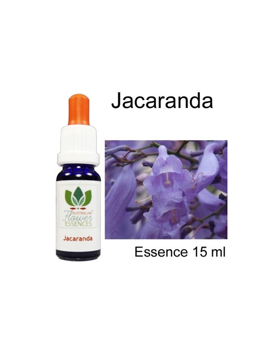 JACARANDA Australische Blütenessenzen Australian Flower Essences 15 ml