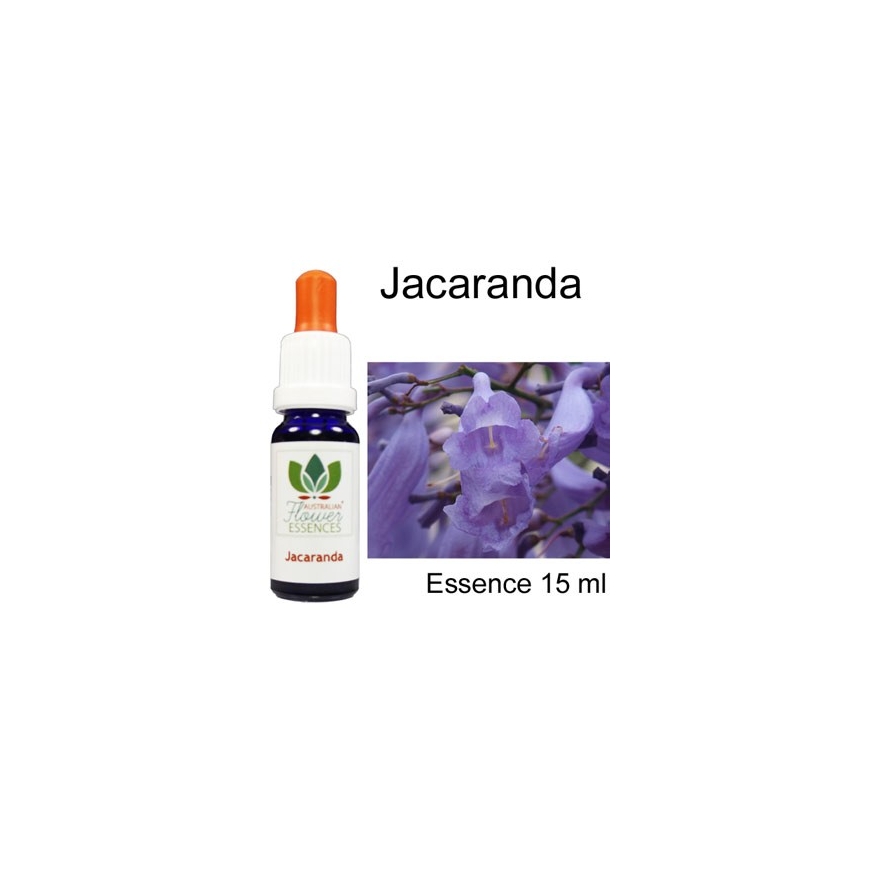 Jacaranda Australian Flower Essences Love Remedies