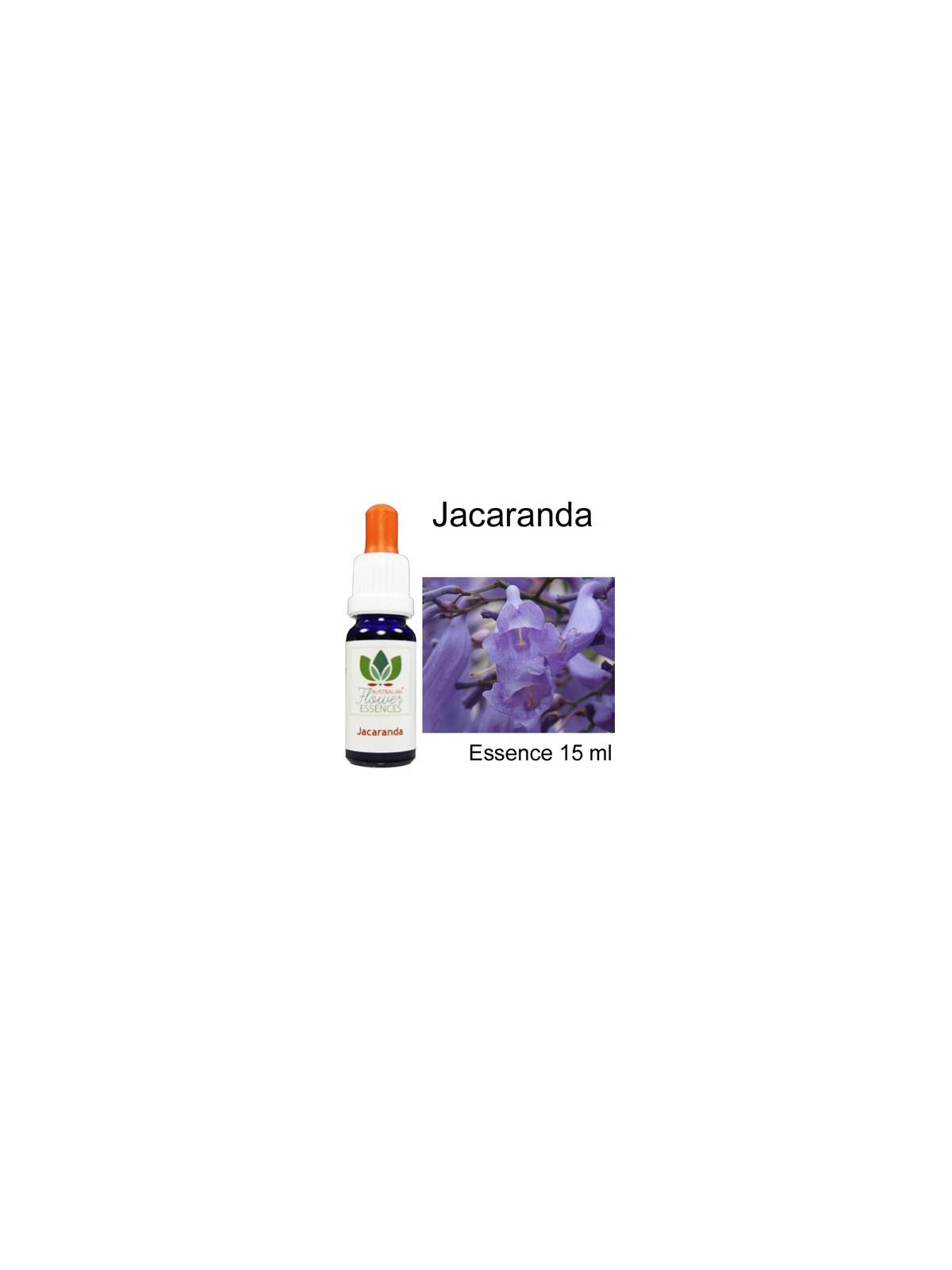 Jacaranda Australian Flower Essences Love Remedies