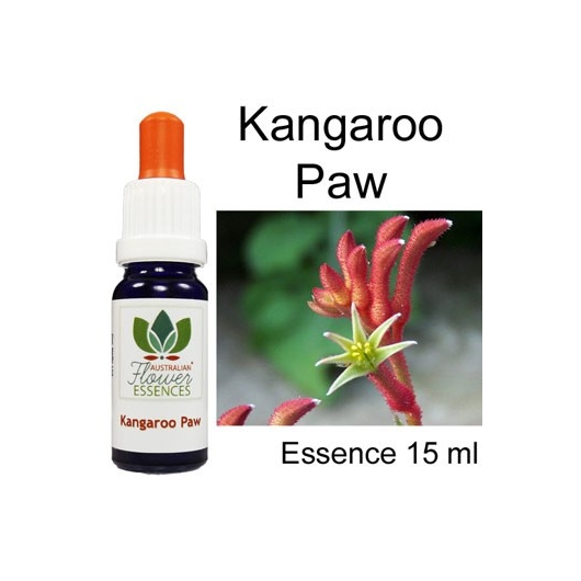 KANGAROO PAW Australian Flower Essences Love Remedies