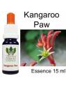 KANGAROO PAW Australian Flower Essences 15 ml