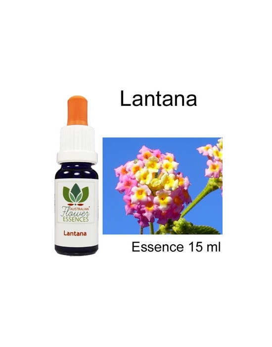LANTANA 15 ml Australian Flower Essences Fiori Australiani