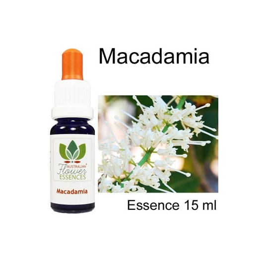 MACADAMIA  Australian Flower Essences Love Remedies