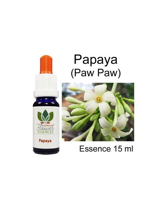 PAPAYA (Paw Paw) 15ml Australian Flower Essences Fiori Australiani