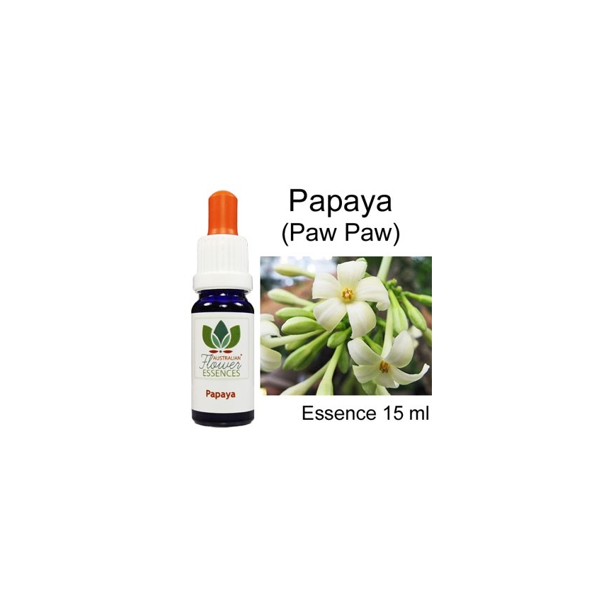 Papaya / Paw Paw Australische Buschblüten Australian Flower Essences 15 ml