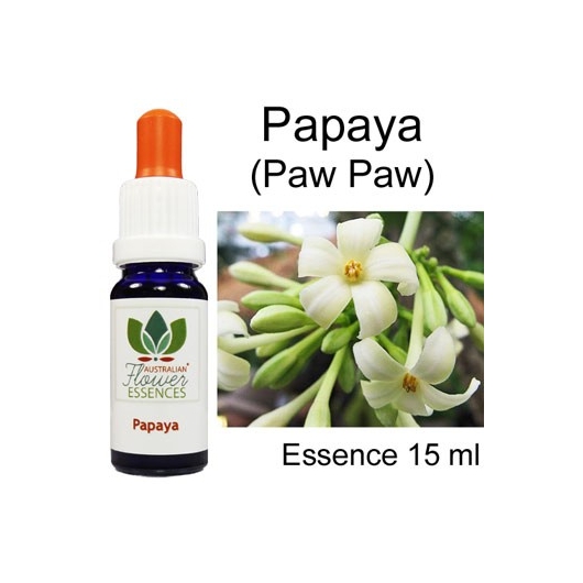Papaya / Paw Paw Australian Flower Essences Love Remedies