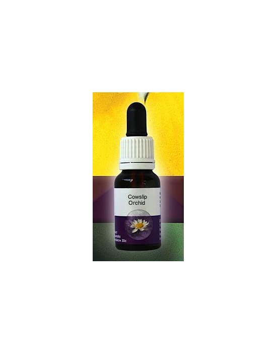 Cowslip Orchid Living Essences Stockbottle 15 ml Fiori Australiani