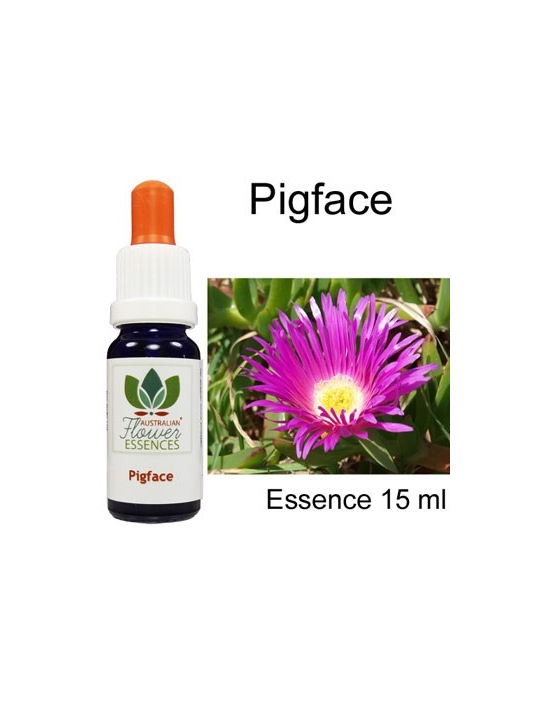 PIGFACE Australische Blütenessenzen Love Remedies