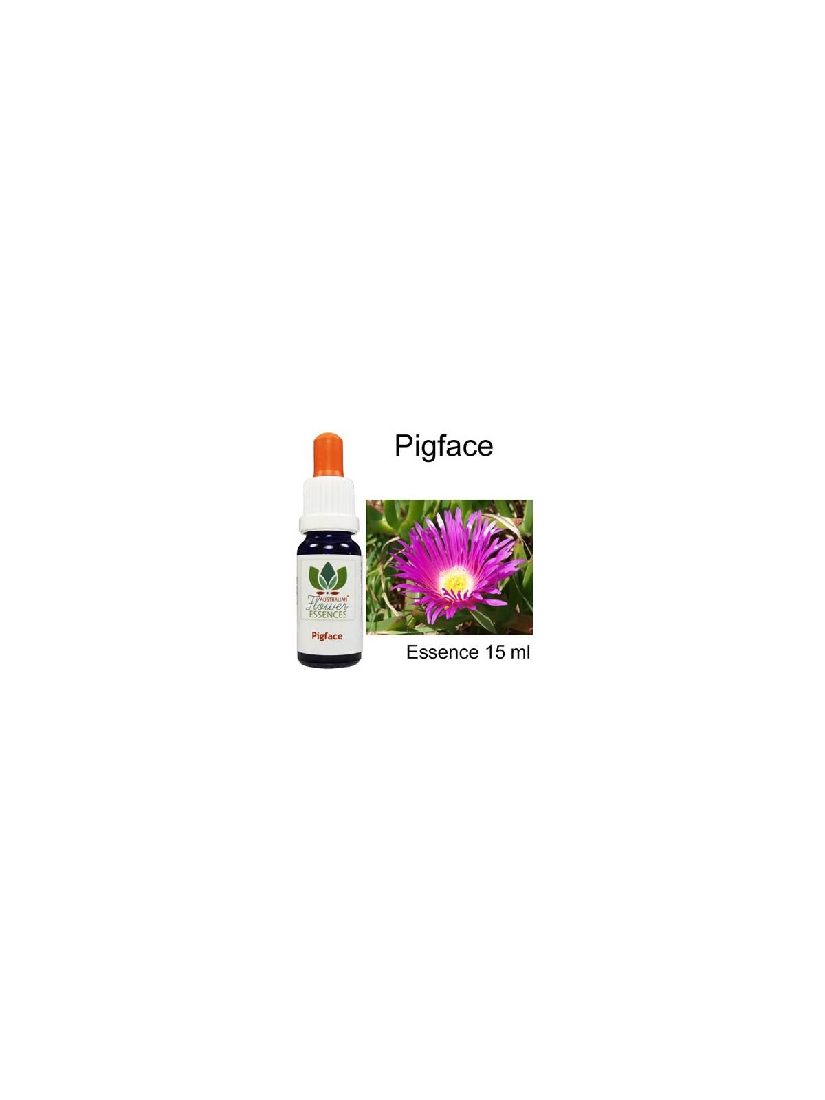 PIGFACE Australian Flower Essences Love Remedies
