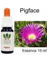 PIGFACE Australian Flower Essences Love Remedies