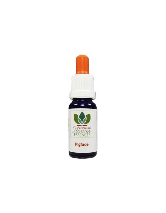 PIGFACE 15 ml Australian Flower Essences fiori australiani