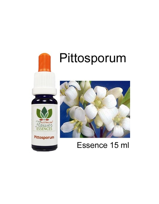 PITTOSPORUM Australische Blütenessenzen Love Remedies